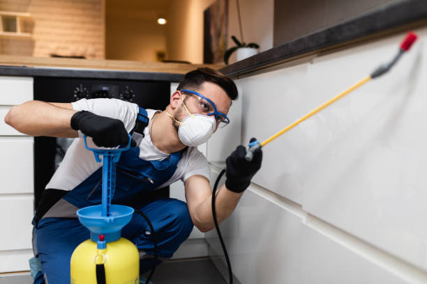 Best Affordable Pest Control Services  in Tehachapi, CA