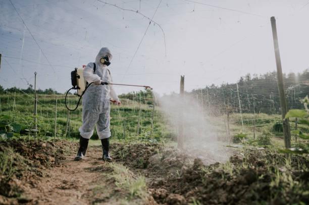 Best Pest Control Near Me in Tehachapi, CA
