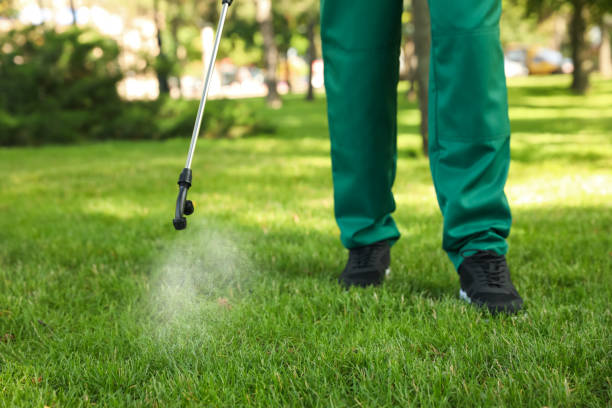 Best Rat Extermination Near Me  in Tehachapi, CA