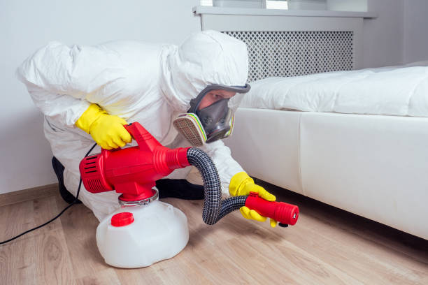 Best Wasp Removal Services  in Tehachapi, CA