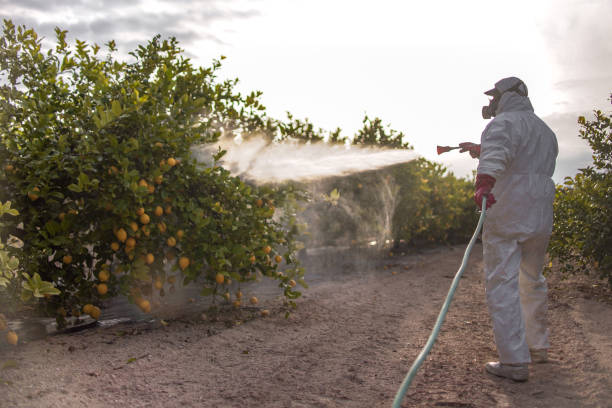 Best Cockroach Control Services  in Tehachapi, CA