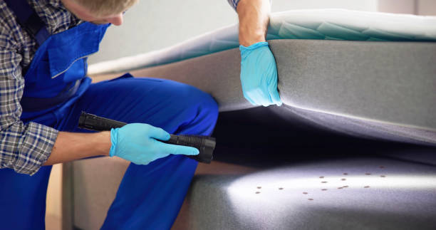 Best Pest Control Cost  in Tehachapi, CA