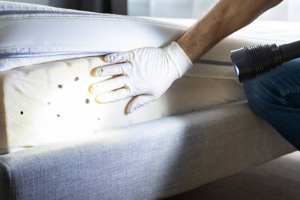 Best Pest Prevention Services  in Tehachapi, CA