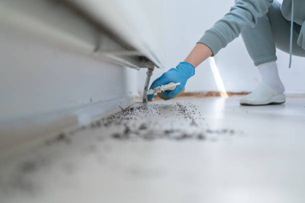 Best Exterminator Services  in Tehachapi, CA