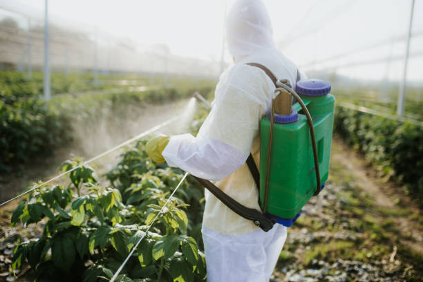 Trusted Tehachapi, CA Pest Control Experts
